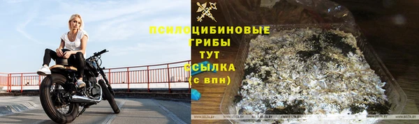 стафф Аркадак