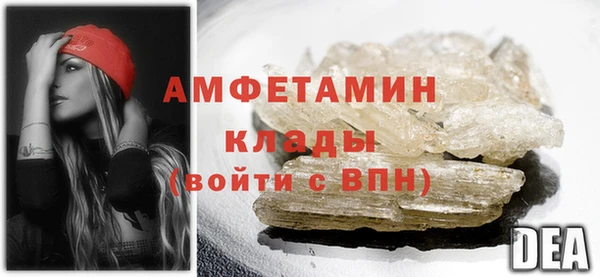 стафф Аркадак