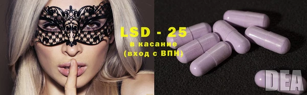 стафф Аркадак
