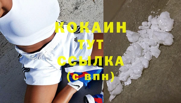 стафф Аркадак