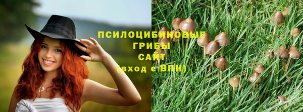 хмурый Армянск
