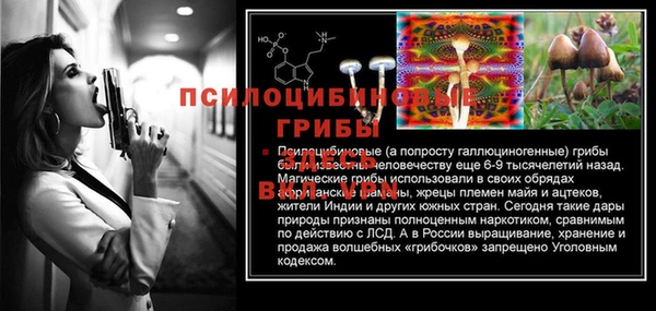 стафф Аркадак