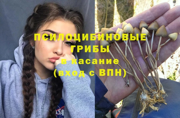 хмурый Армянск